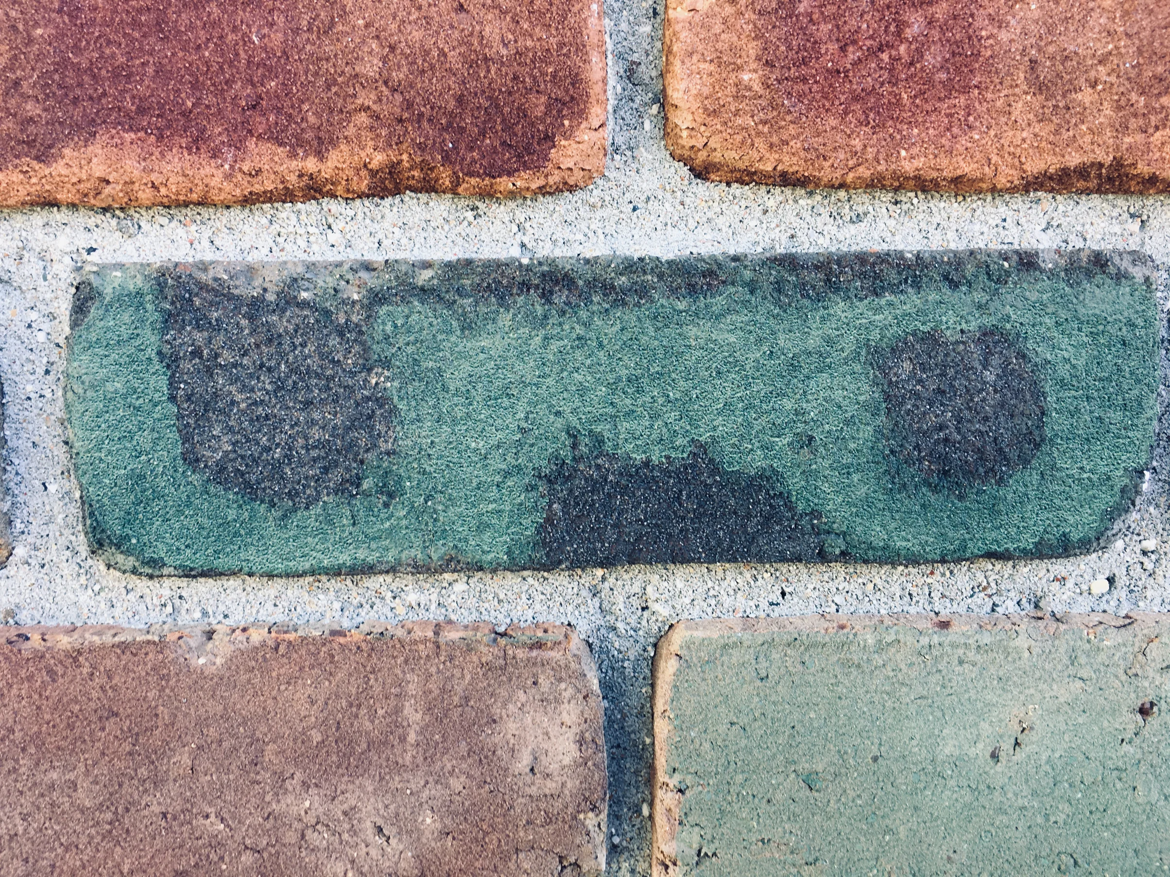 A single brick at close range in 2019, color enhanced to a deep green that sits between the red and brown units around it