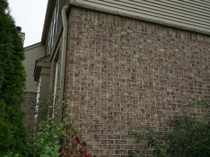 A wall beside a downspout in 2019 with shrubs grown against it, the tan brick courses reading as one range up to the siding