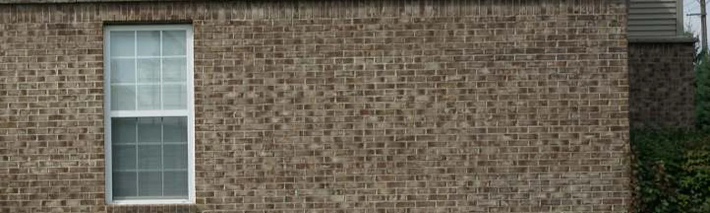 The side wall of the Northville house in 2019, its tan brick reading as one range under the vinyl siding