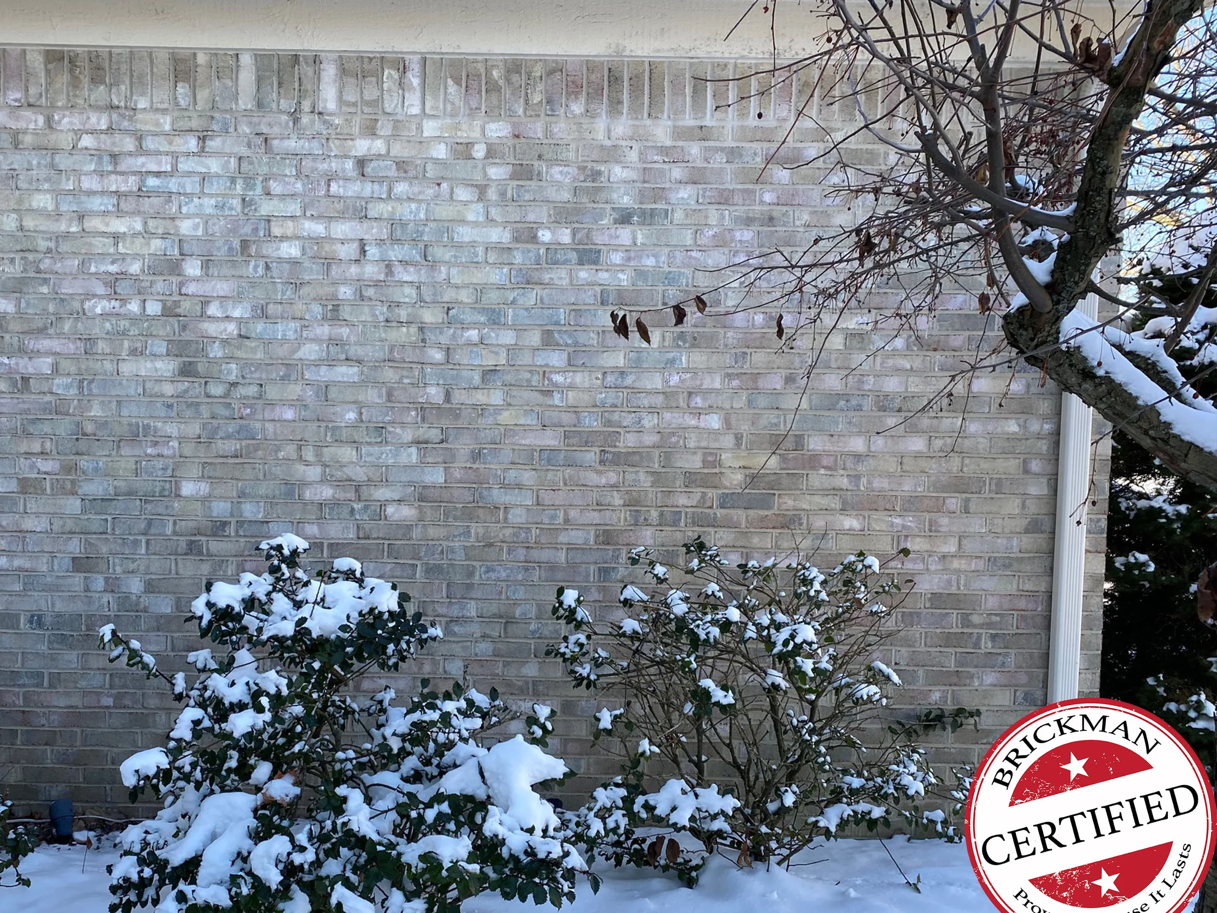 A wall of the house in 2021 with snow on the shrubs in front of it, the grey brick one range up to the soffit, with the certification stamp in the corner