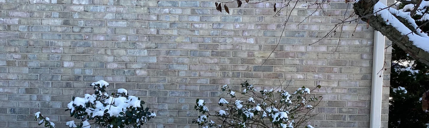 A brick wall of the Novi house in 2021, one grey range under the soffit with snow on the shrubs below it