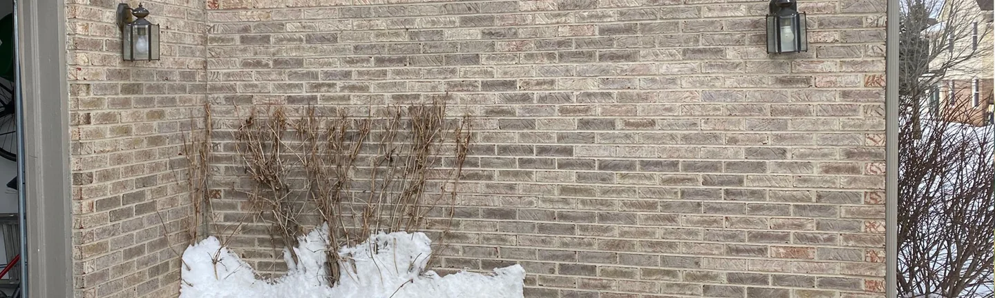 The garage wall of the Novi house in 2021, one pale range of brick under the tan siding with snow banked below it