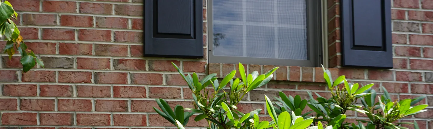 A wall of the house in 2019, its brick an even red and tan range below a shuttered window