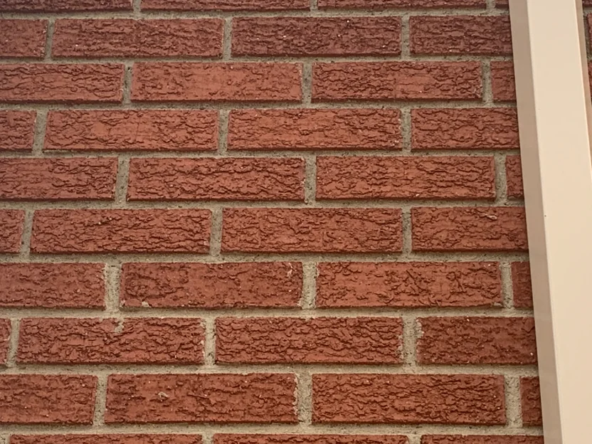 The brick face at close range in 2019, rough textured red units and grey mortar reading as one range beside a white trim board