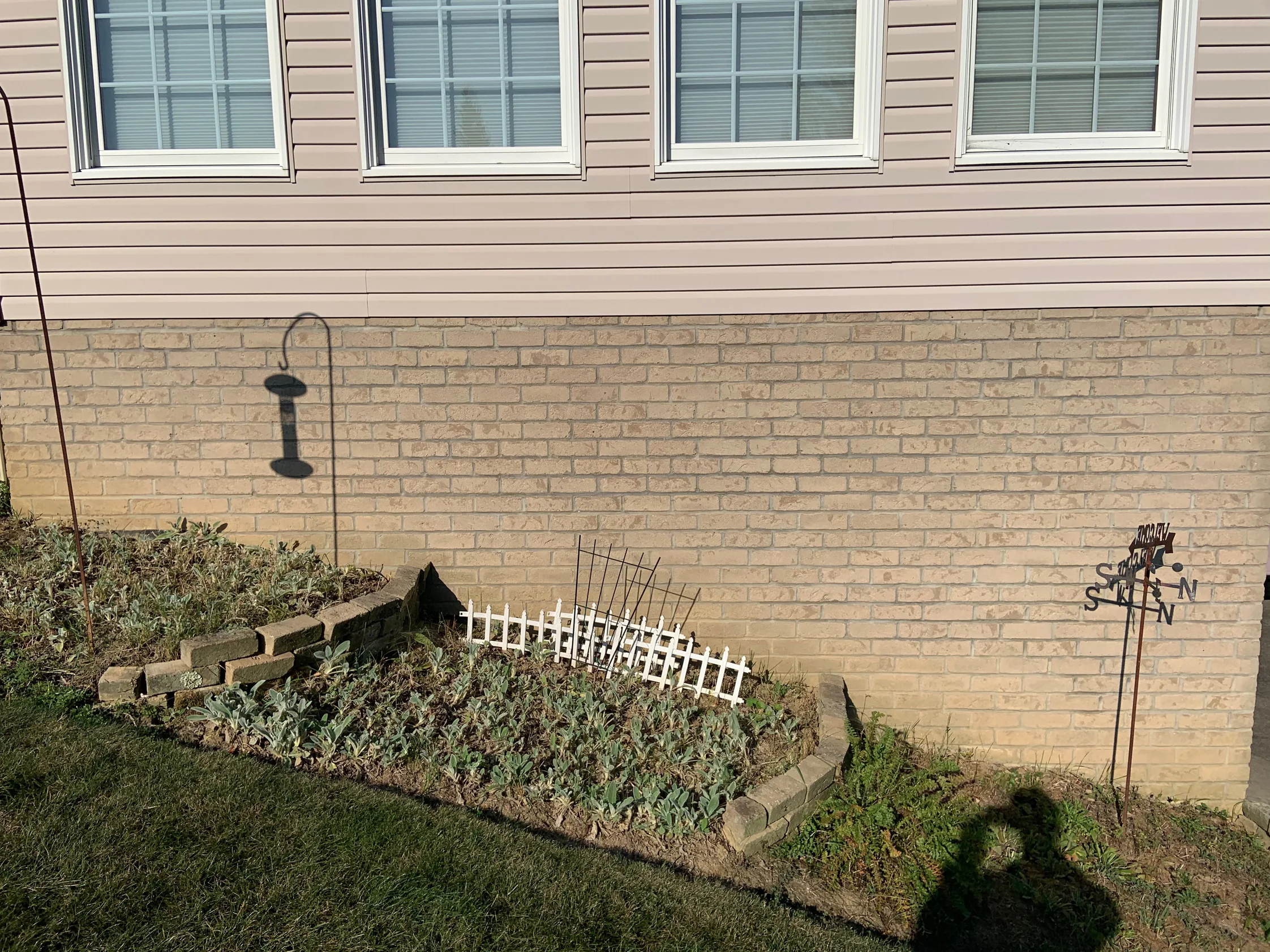 A long run of the brick base course in 2019 above a planted bed, the units an even cream and buff range under pale siding