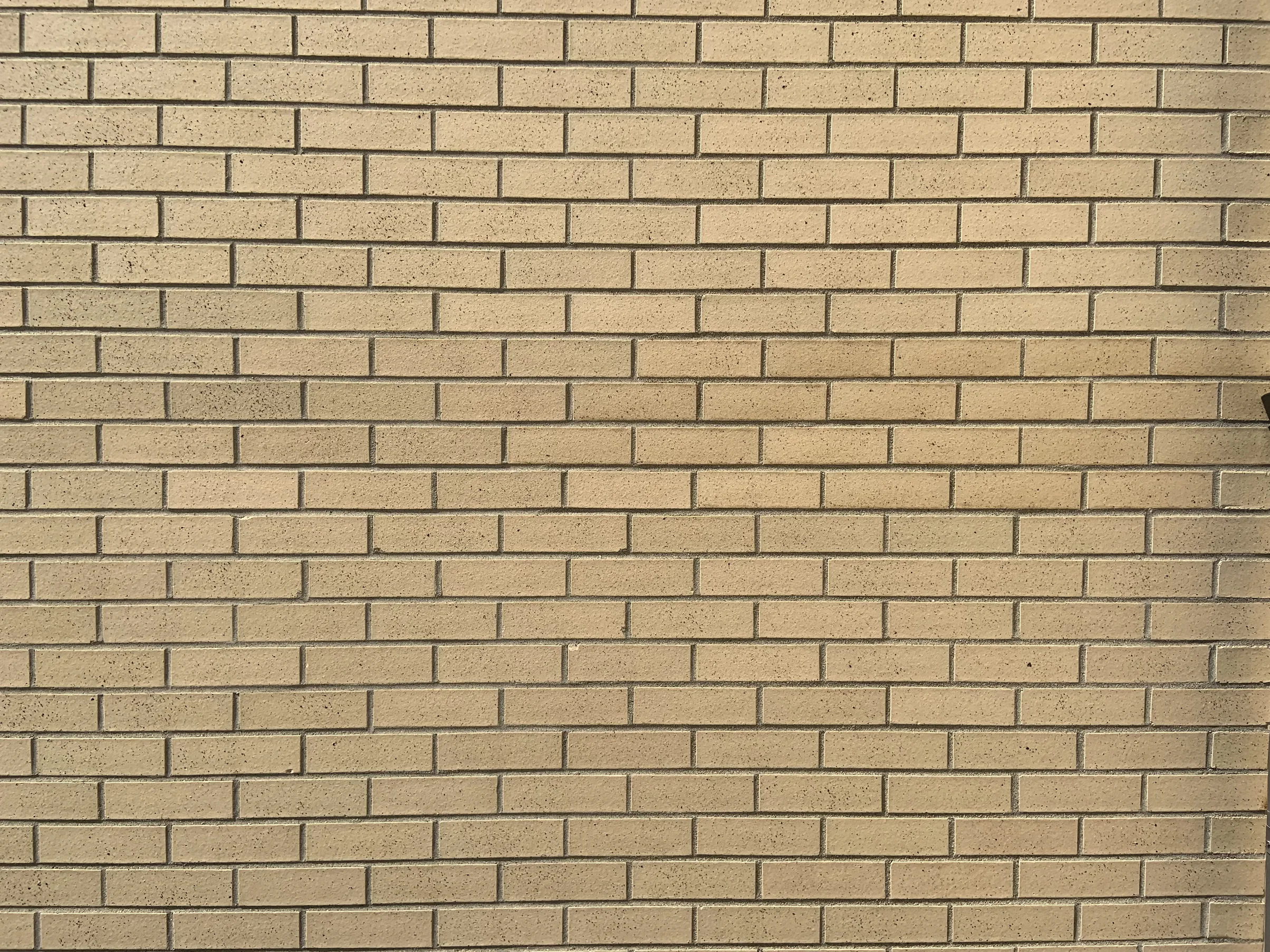 Close view of the buff brick in 2019, the units sitting in one narrow range of tans with pale mortar joints