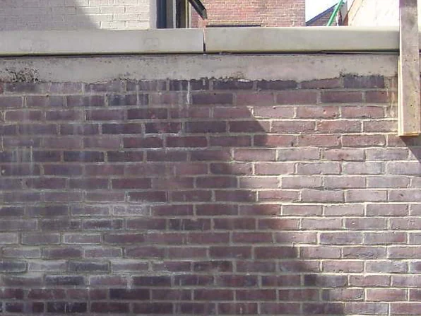 The top of a low wall in 2011, a band of bare poured concrete running under the coping above courses of dark off color brick, with a railing and the building behind
