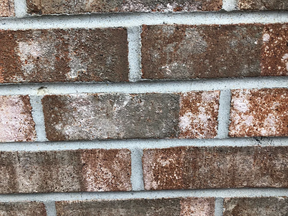 Close view of the stained brick at unit scale in 2019, the rough face of the replacement units visible under the blend