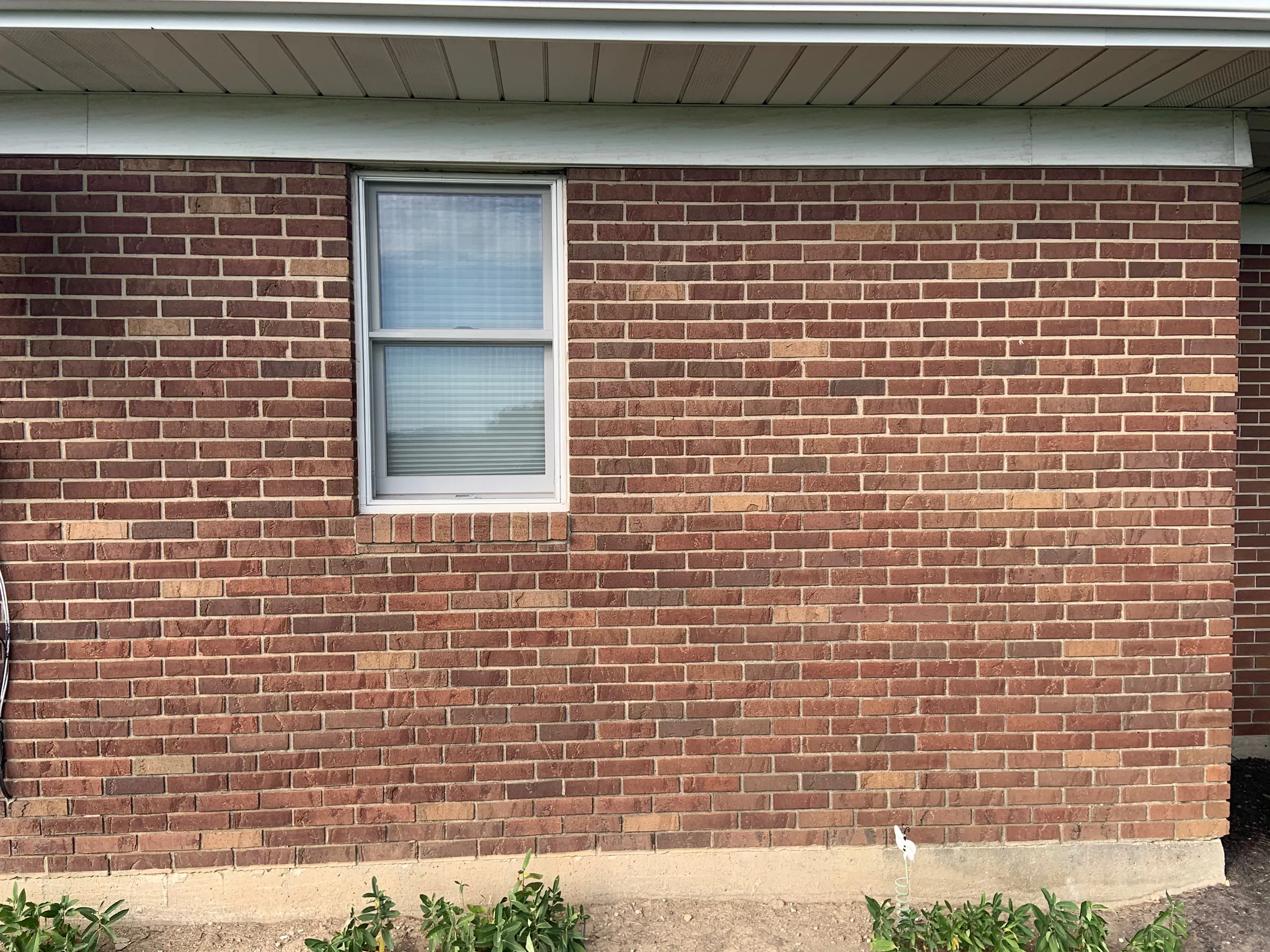 A single window in the red brown brick wall in 2019 under a white soffit, the brick running one range across the whole frame down to the concrete footing