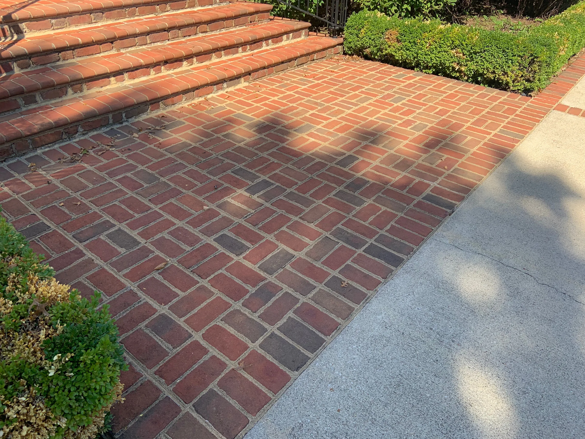 The foot of the paver steps in 2019 with the brick apron beside them running out to the concrete drive, laid in a basket weave inside a border course