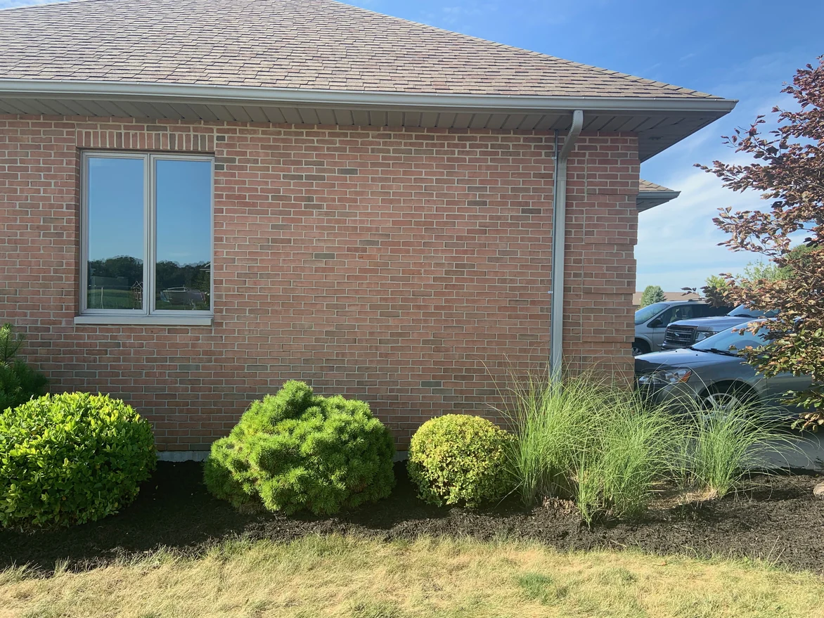 An outside corner of the house in 2019, the brick evenly toned on both faces above a bed of clipped shrubs and ornamental grass