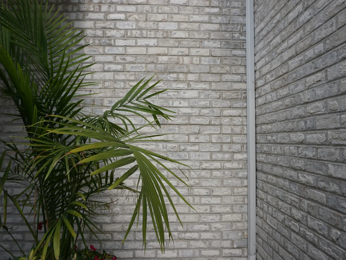 Close view of an outside corner in 2019, the pale grey brick even across both faces either side of a downspout, with a potted palm at the left