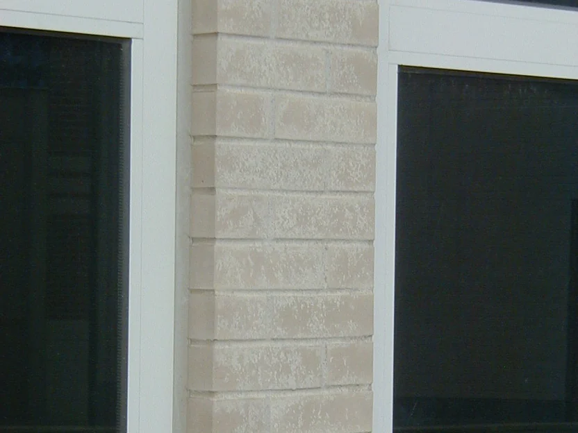 A brick pier between two windows before the 2004 work, its pale surface heavily marked with white deposits