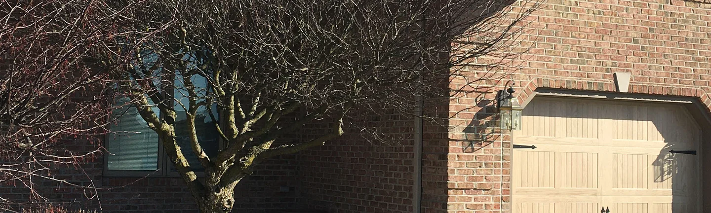 The brick garage wall of the house in 2021, one even red brown range from the picture window to the garage door, with a bare tree in front