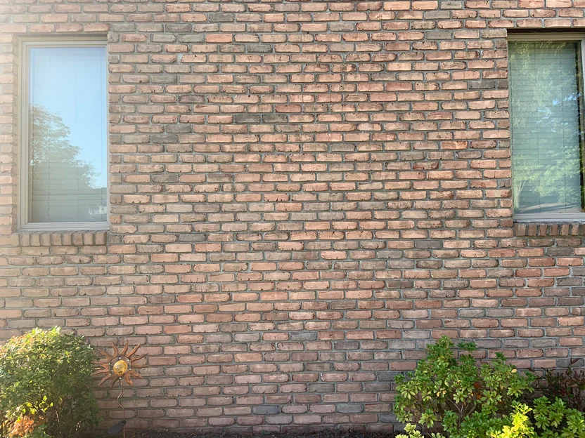 A close view of the wall in 2019 between the two windows, the individual units varying within one narrow range across every course with the mortar joints even