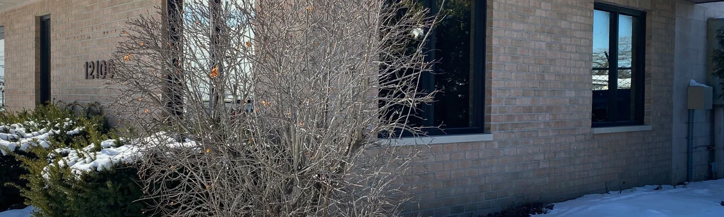 The corner of the Romulus building in 2021, buff brick running one range across both elevations under a shingled hip roof
