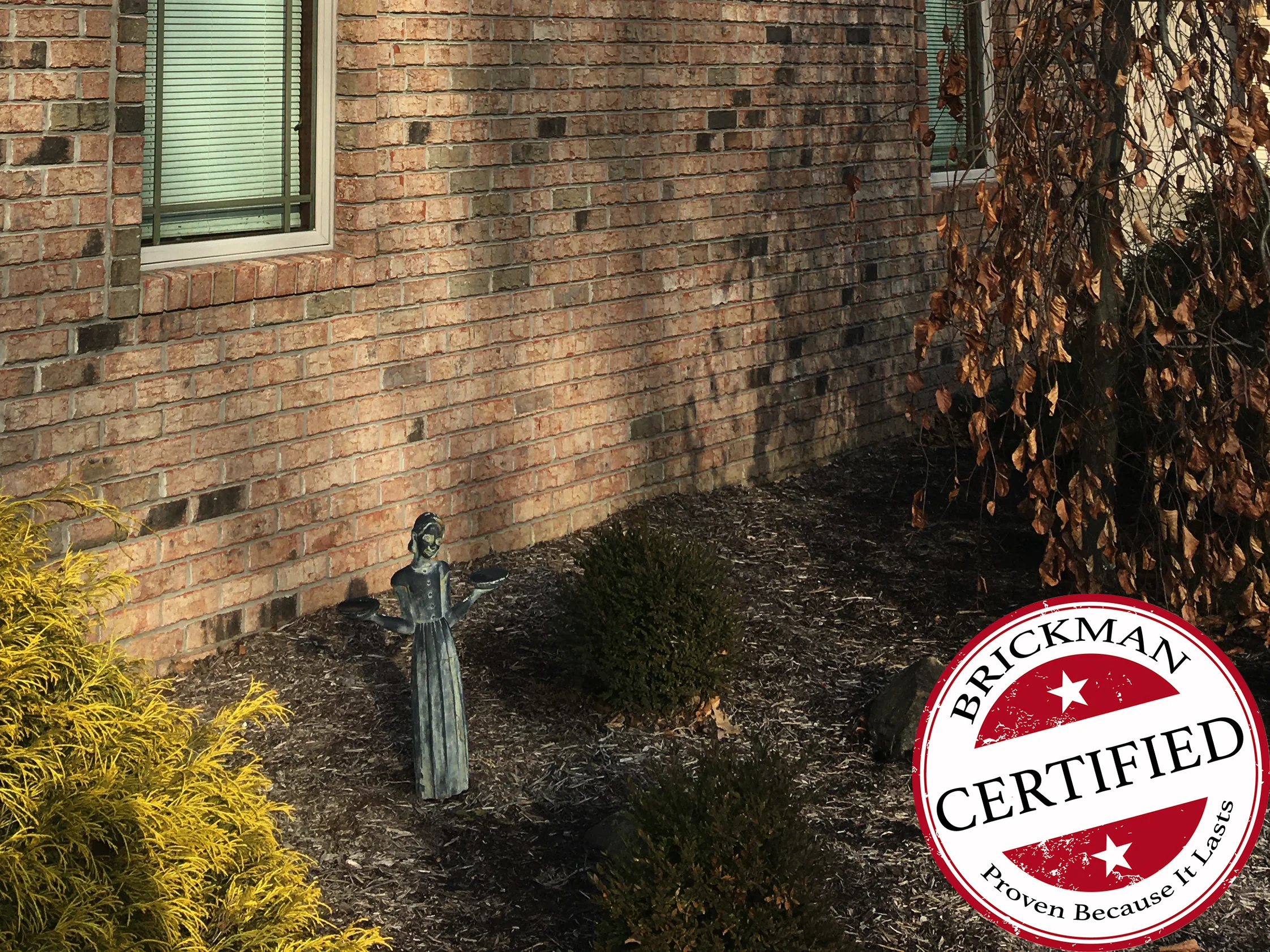 The gable wall in 2020, the brick one blend from the tall window down to the planting bed, a garden statue in the mulch and the certification stamp in the corner