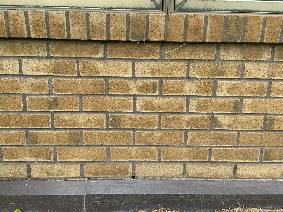 Close view of the low wall in 2019, seven courses of tan brick between dark mortar joints, several units carrying darker patches across their faces
