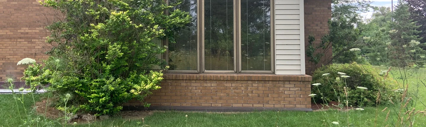 The low brick wall under the front windows in 2019, running the same brown range as the house wall beside it