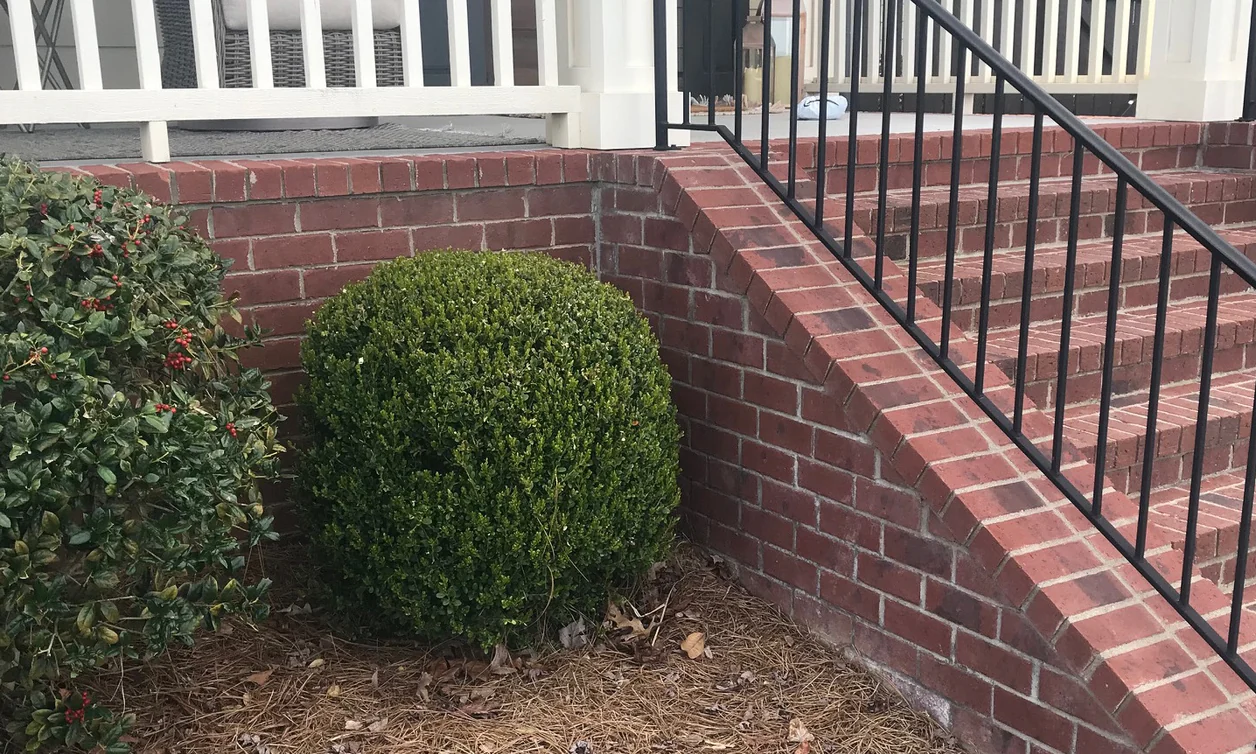 A brick stair and planter wall on a Tennessee house in 2022, the new brick in range with the old seven years after staining