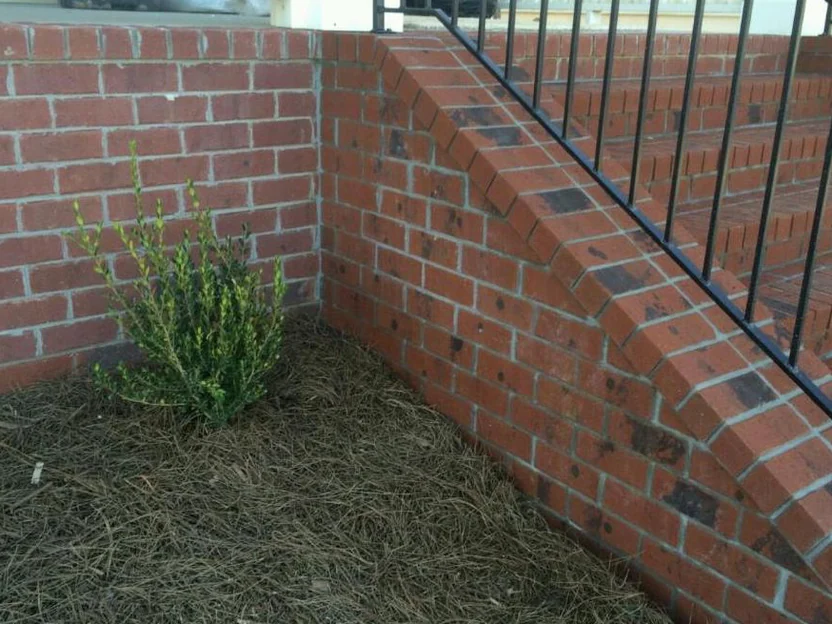 The inside corner in 2015 where the planter wall of the house meets the wall of the new stair, the newer brick carrying dark blotches the older wall does not