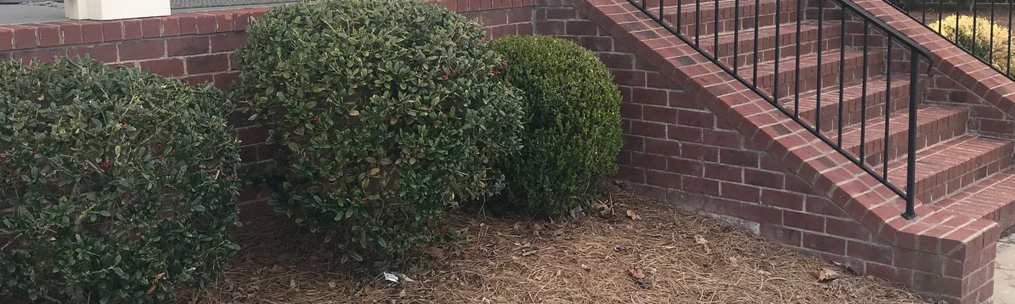 A wide band of the brick stair and the planter wall at the Tennessee house in 2022, treads and wall reading as one range