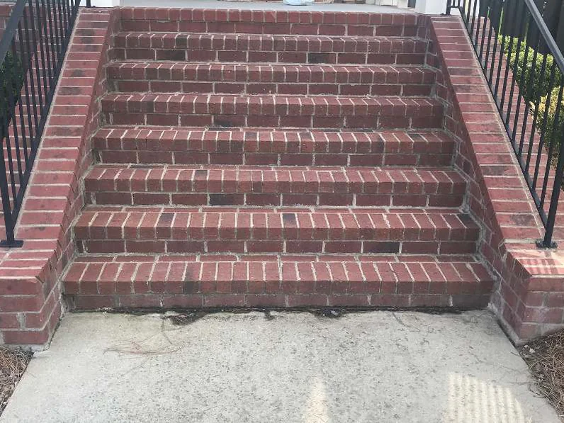 The same steps in 2022, the treads and risers holding one range across the full width, with a concrete walk at the foot and clipped shrubs on both sides
