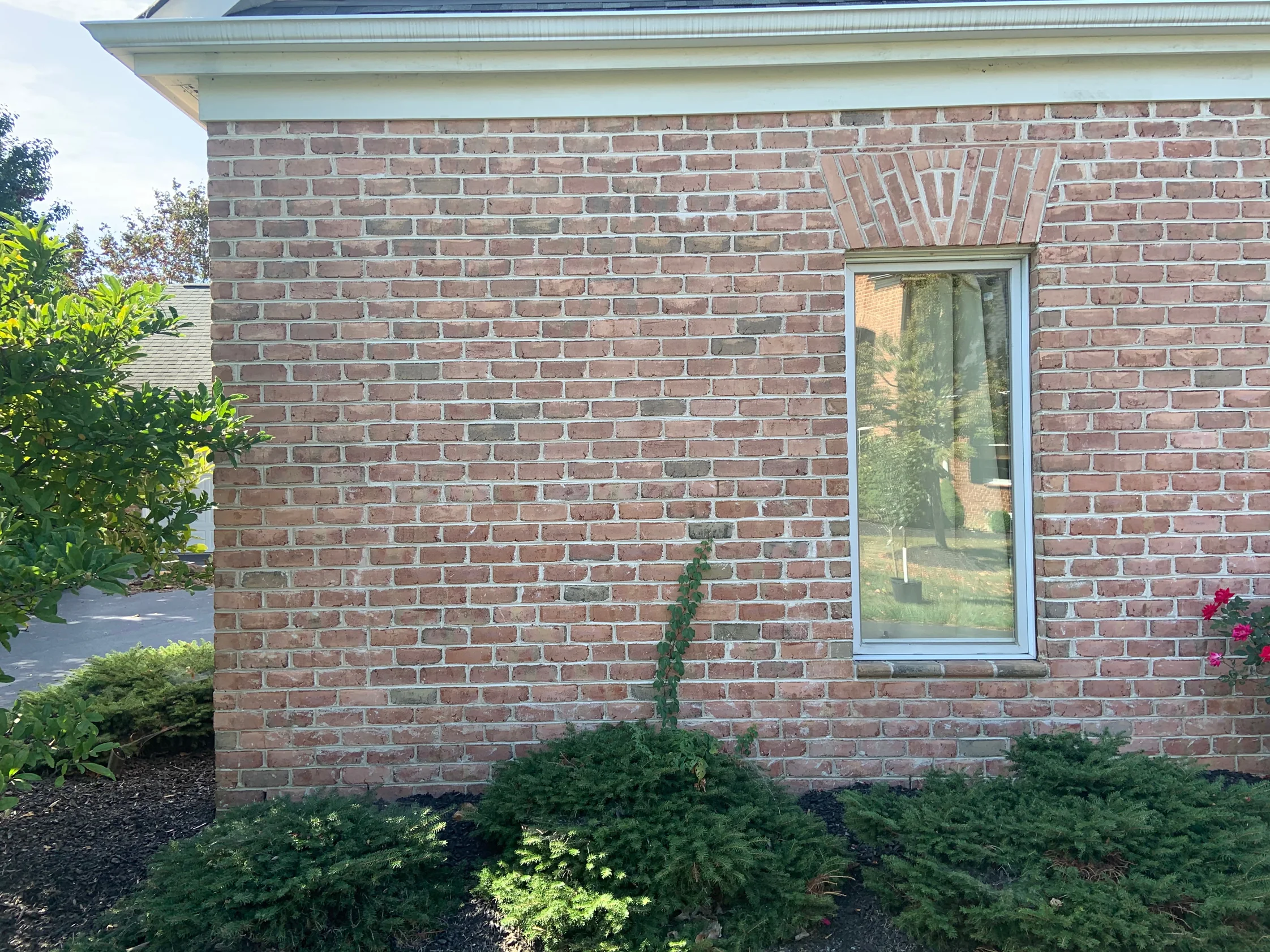 An outside corner of the brick wing in 2019, a tall window at the right and mature planting at the left, the brick one even red and tan range