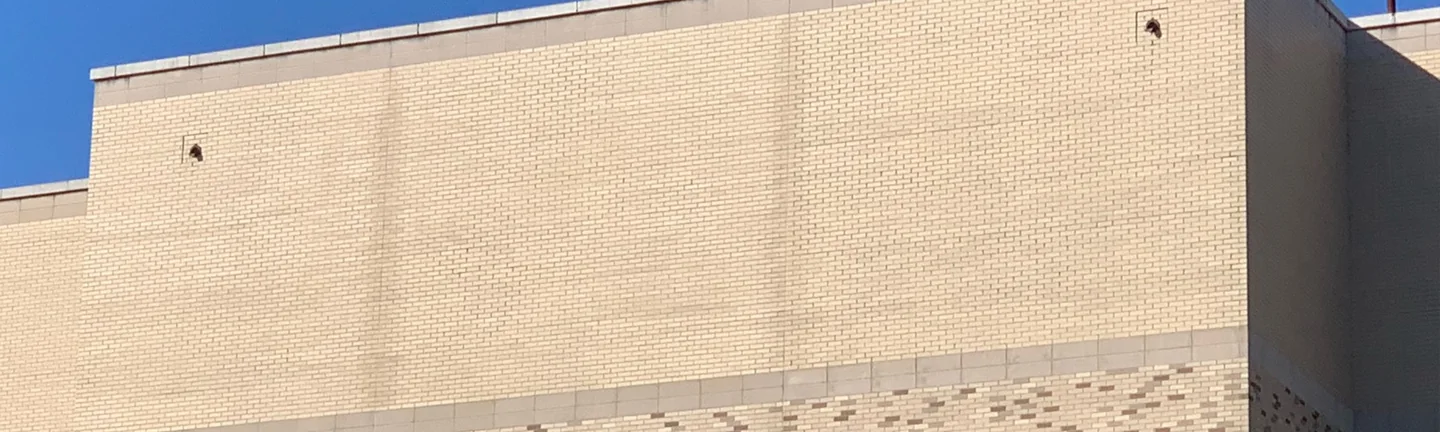 The upper wall of the hospital in 2021, buff brick reading as one range above a band of darker blend brick